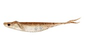 Cobra Shad 4.5